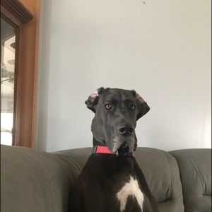 Meet your Posher, Leann